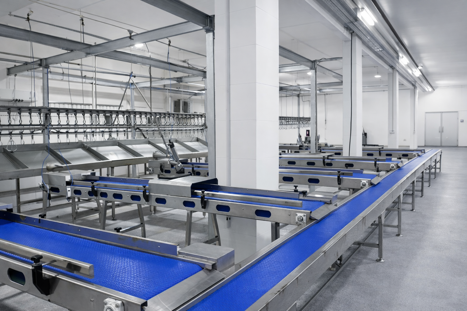 Bagging Clipper Conveyor